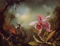 Heade, Martin Johnson - Orchid and Two Hummingbirds